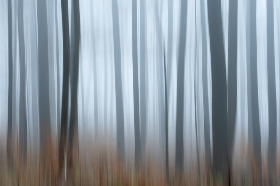 Im Nebel